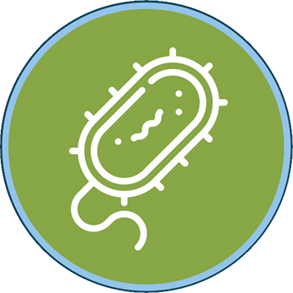 microbio icon